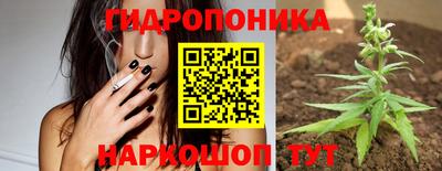 Альфа ПВП Жуковский