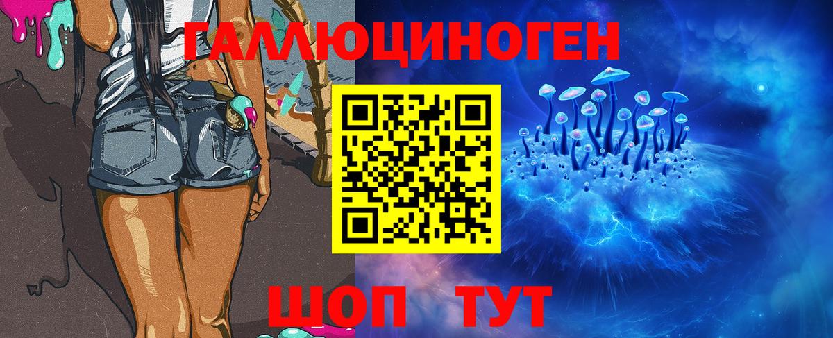 Михайловка  Галлюциногенные грибы Psilocybe  Вход с VPN 